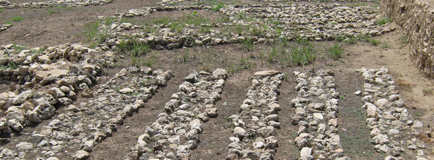 Çayönü Buluntuları