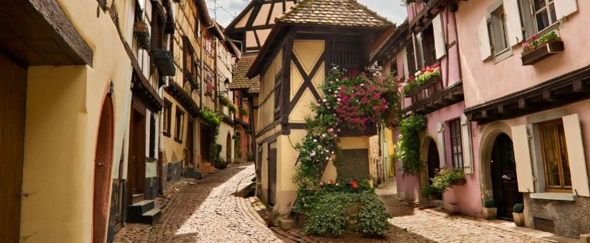 alsace (3).jpg
