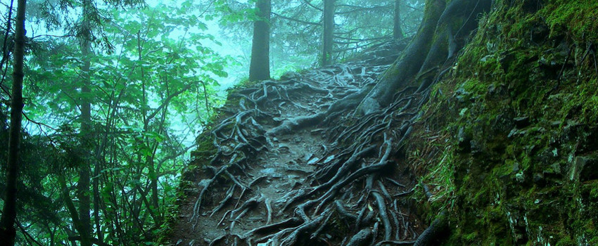 Altındere Vadisi Milli Parkı