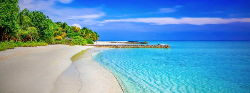 Yer: Bahamalar, Fotoğraf: Blue Marlin Cove