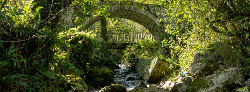 Batum Ulusal Botanik Parkı