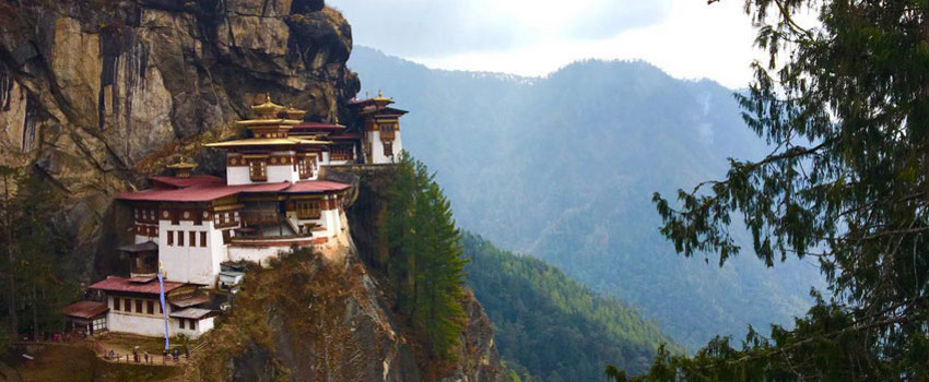 Yıllık 255.000 Ziyaretçi  