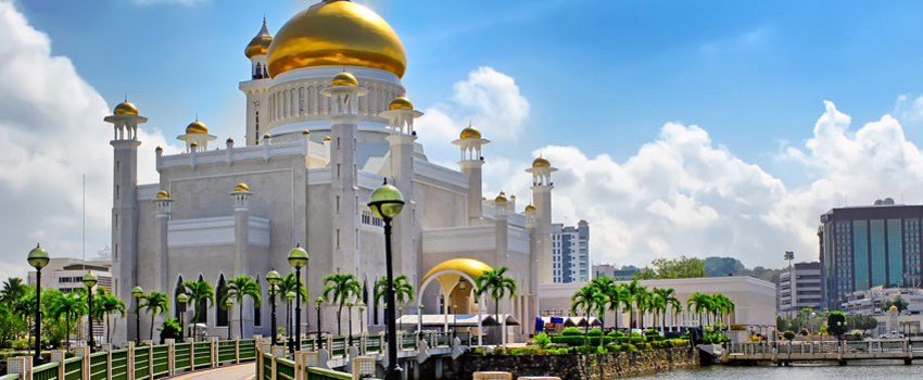 Yıllık 259.000 Ziyaretçi  