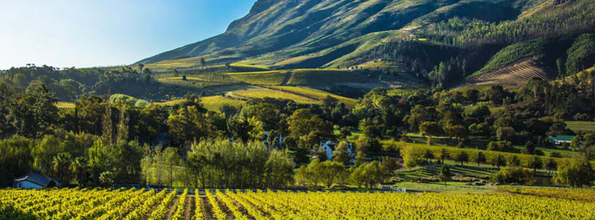 Yer: Cape Winelands, Fotoğraf: andBeyond