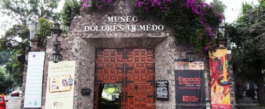 doloresolmedouseum.jpg