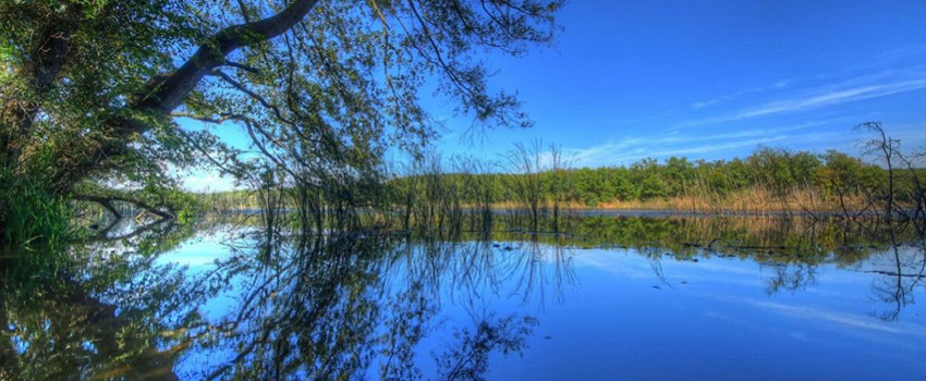 İğneada Longoz Ormanı Milli Parkı