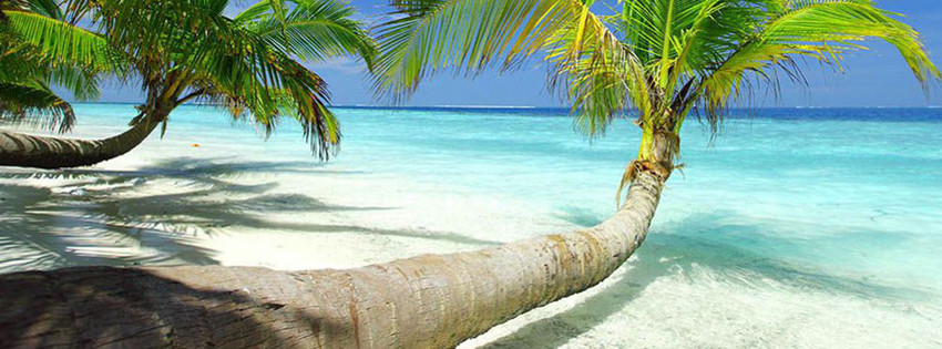 Yer: Jamaika, Fotoğraf: Best Places To Visit