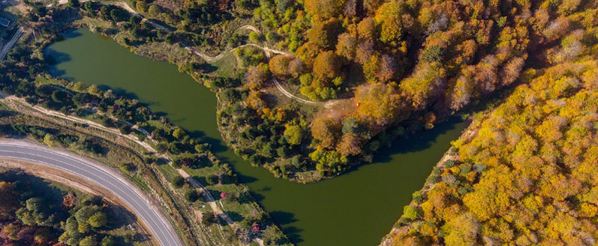 Domaniç Kaşalıç Tabiatı Koruma Alanı, Kütahya