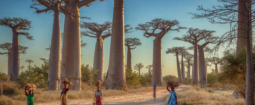 Yıllık 255.000 Ziyaretçi 