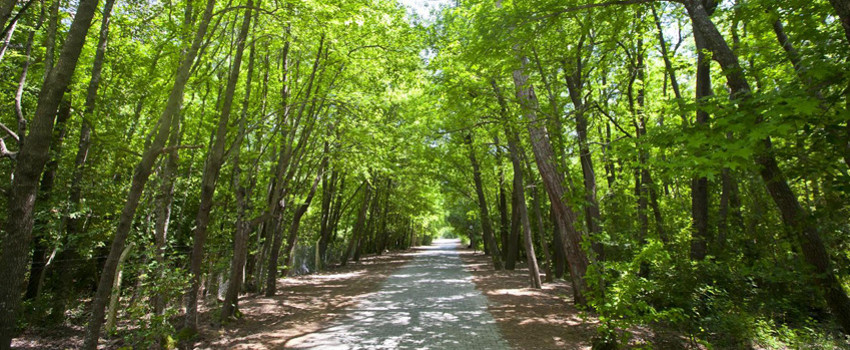 Marmaris Milli Parkı