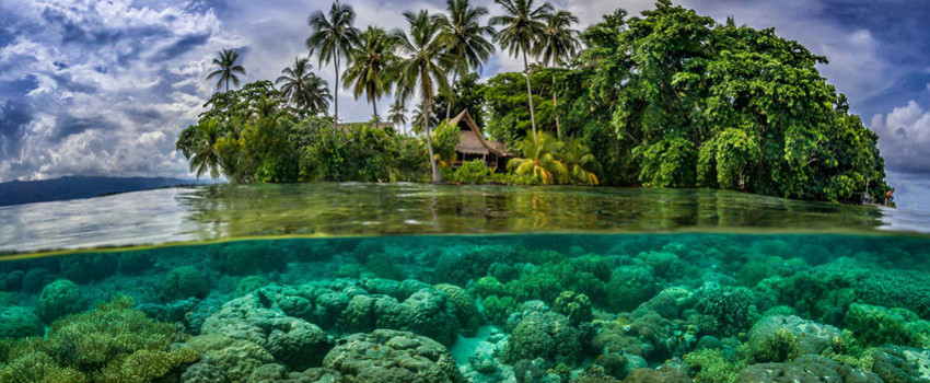 Yıllık 6.000 Ziyaretçi