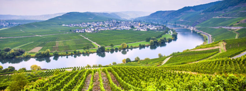 Yer: Mendoza, Fotoğraf: Wine Enthusiast Magazine