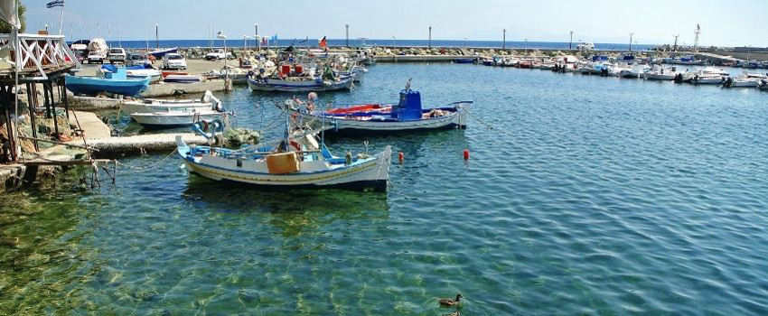 midilli-turu (8).jpg