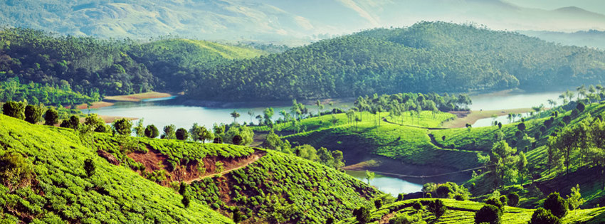 Yer: Munnar, Fotoğraf: Zooka Travels