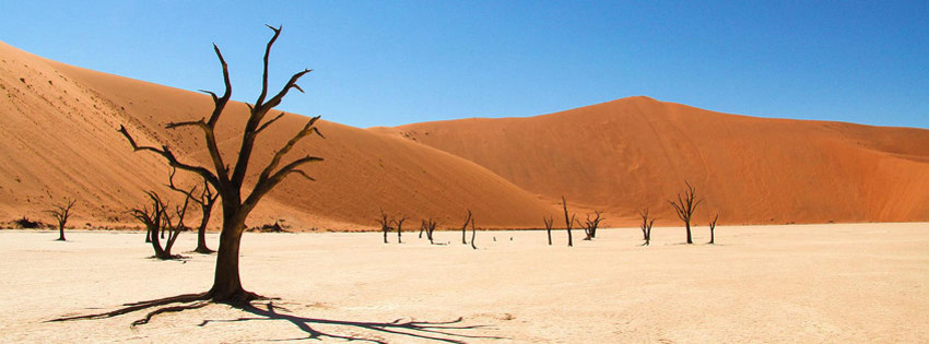 Yer: Namib Çölü, Fotoğraf: Go2Africa