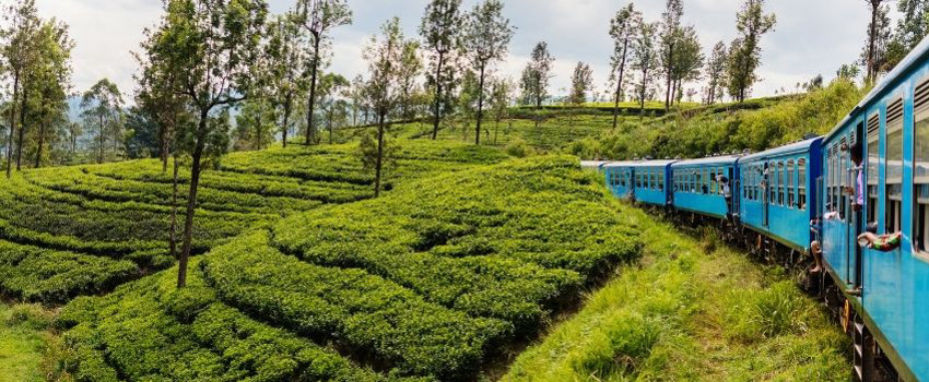 sri-lanka-gezi-rehberi (1).jpg