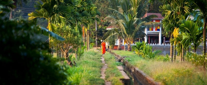 sri-lanka-gezisi (2).jpg