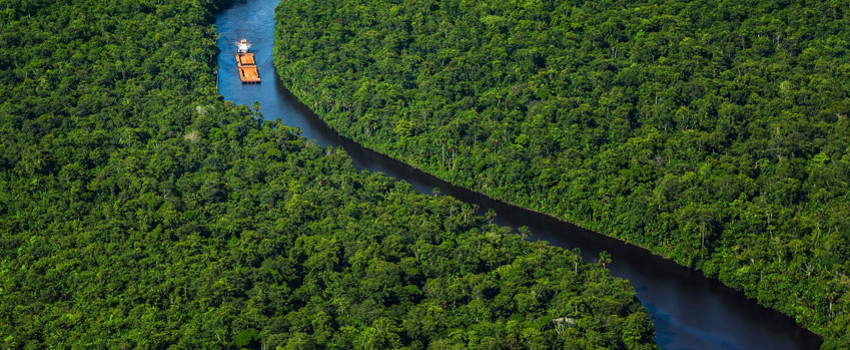 Yıllık 278.000 Ziyaretçi 