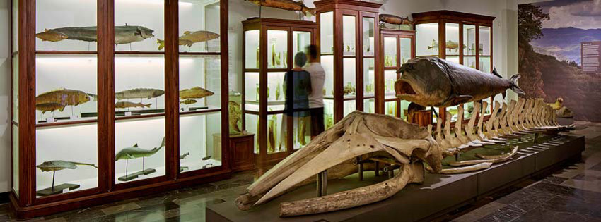 Ulusal Müze'den bir kare