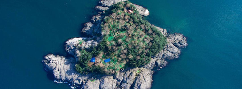 ada-giresun.jpg ada-giresun.jpg