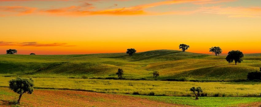 alentejo.jpg alentejo.jpg