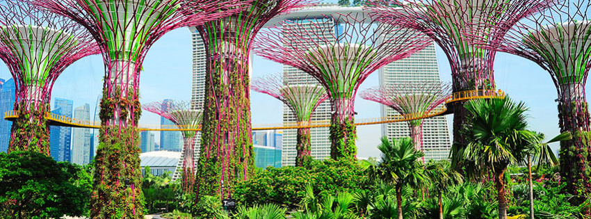 Singapur Botanik Bahçeleri Singapur Botanik Bahçeleri