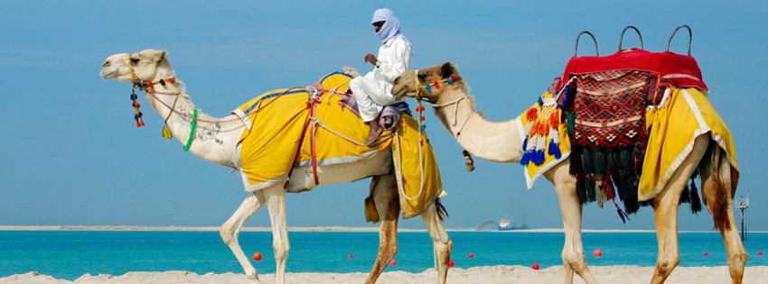 dubaii.jpg dubaii.jpg