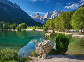 slovenya-1x1.jpg
