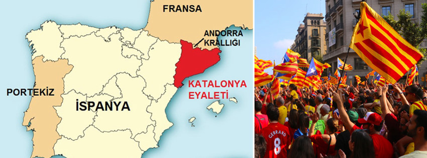 katalon5.jpg