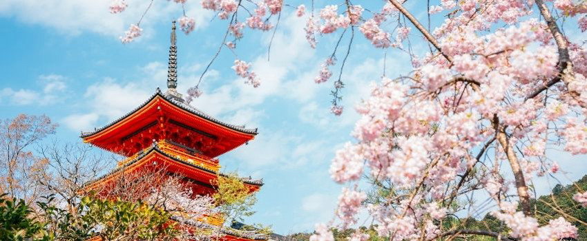 Kyoto, Japonya Kyoto, Japonya
