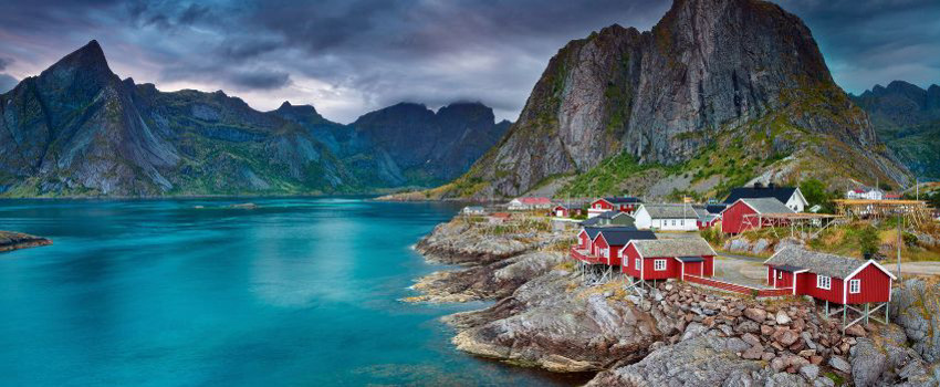 norvec.jpg norvec.jpg