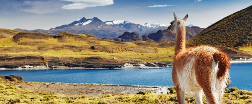patagonya.jpg patagonya.jpg
