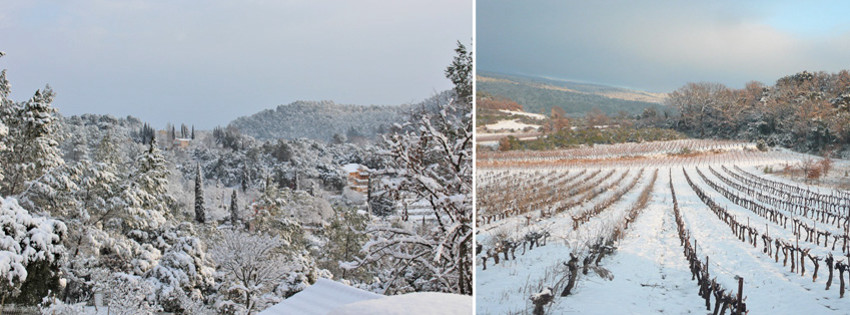 provence.jpg provence.jpg