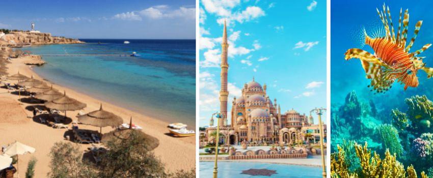 sharm-el-sheikh.jpg sharm-el-sheikh.jpg