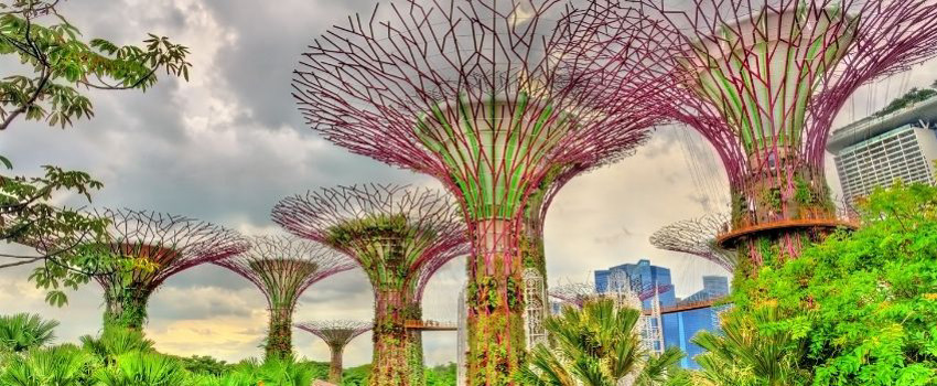 singapur-bahcesi.jpg singapur-bahcesi.jpg