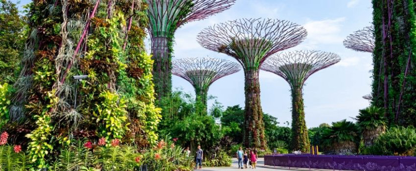 singapur-turu.jpg singapur-turu.jpg