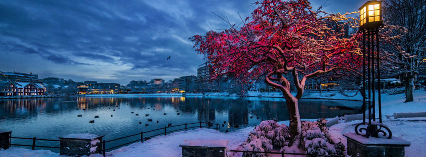 Stavanger
