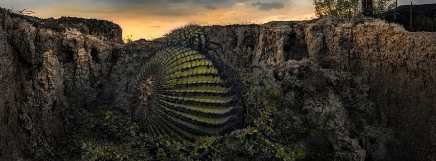 tehuacan.jpg tehuacan.jpg