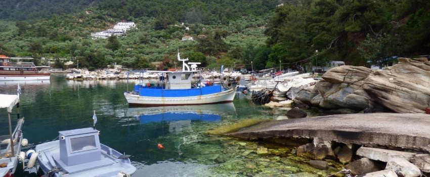 thassos-adasi (7).jpg thassos-adasi (7).jpg