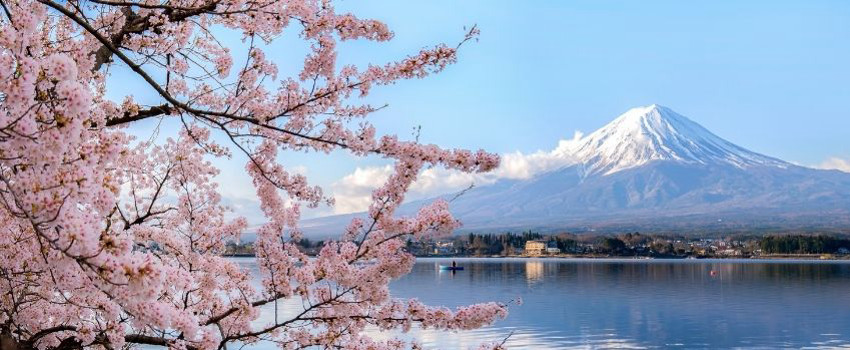 tokyo-fuji.jpg tokyo-fuji.jpg